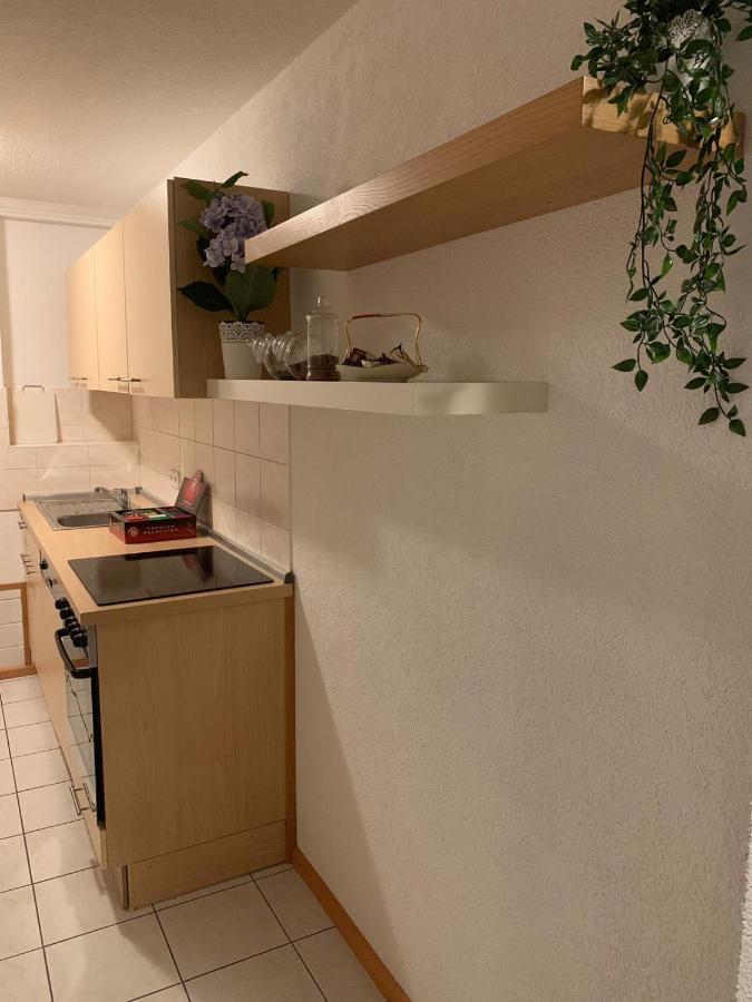 Holiday Home Nahe Europapark Lahr  Kültér fotó